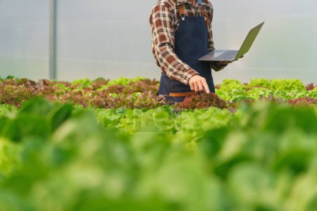 Téléchargez les photos : Agriculteur masculin travaillant sur la technologie hydroponique sur ordinateur portable pour les légumes à salade dans la ferme hydroponique. - en image libre de droit
