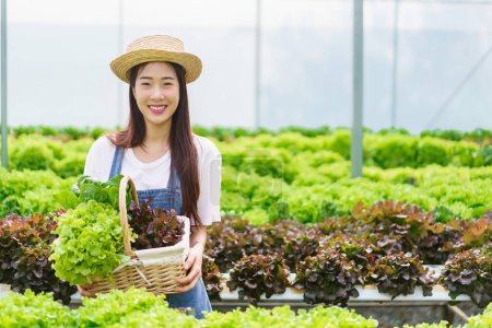 Téléchargez les photos : Femme jardinier tenant panier de salade fraîche produit à partir du système hydroponique dans le jardin hydroponique. - en image libre de droit