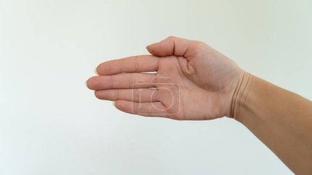 Palm of the right hand horizontally. High quality photo