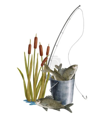 Photo for Watercolor fishing illustration. Hand drawn fishing rod, reed plant and metal bucket of fish isolated on white background. Big catch of freshwater fish. Angling hobby composition - Royalty Free Image