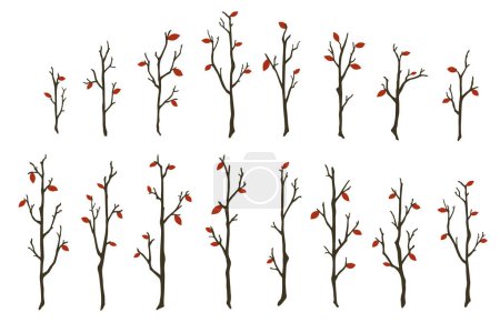 Ilustración de Ramas de árboles. Palos de madera desnudos dibujados a mano con pocas hojas rojas ilustración vectorial. Siluetas de árboles forestales delgados aisladas sobre fondo blanco. Abscisión de la hoja - Imagen libre de derechos