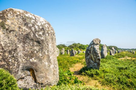 Téléchargez les photos : Les pierres de Carnac constituent une collection exceptionnellement dense de sites mégalithiques près de la côte sud de la Bretagne dans le nord-ouest de la France - en image libre de droit