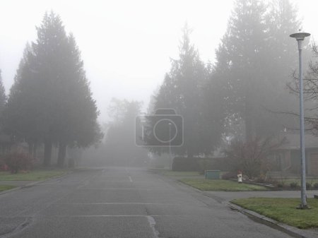 Téléchargez les photos : Passerelle résidentielle couverte de brouillard dense durant l'hiver dans le Grand Victoria (C.-B.) - en image libre de droit