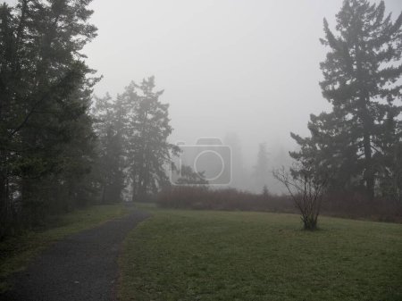 Foto de Pasarela de área residencial cubierta de densa niebla durante el invierno en Greater Victoria, BC - Imagen libre de derechos