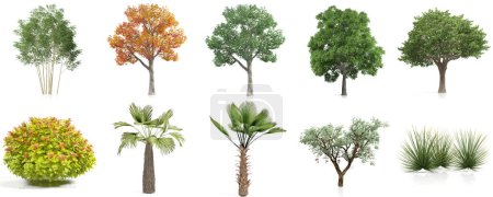 3D-Darstellung von Ziersträuchern und Bäumen im Garten