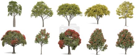 Photo for 3d render - set of trees on white background - Royalty Free Image