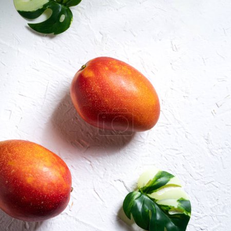 Téléchargez les photos : Concept de design de fond de mangue. Vue du dessus du motif de mangues fraîches coupées en dés avec des feuilles sur la table blanche. - en image libre de droit