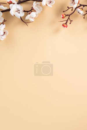 Design concept of Chinese lunar new year background copy space with white plum flower and festive decoration.