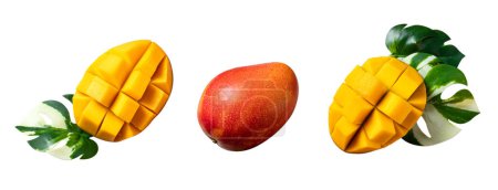 Téléchargez les photos : Beautiful delicious ripe mango isolated on white table background, clipping path cut out. - en image libre de droit