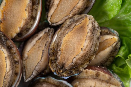 Photo for Delicious raw abalone in a plate with lettuce on wooden table background. - Royalty Free Image
