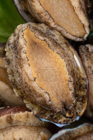 Photo for Delicious raw abalone in a plate with lettuce on wooden table background. - Royalty Free Image