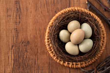 Téléchargez les photos : Vue du dessus des oeufs de caille à bouton frais dans un nid sur fond de table en bois. - en image libre de droit