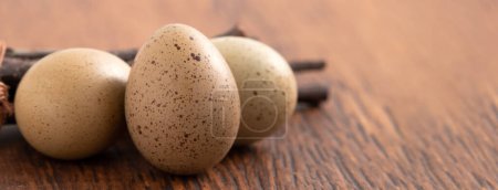 Téléchargez les photos : Oeufs de caille bouton frais dans un nid sur fond de table en bois. - en image libre de droit
