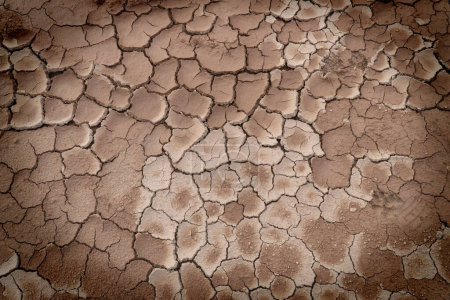 A close up of dry, cracked earth.