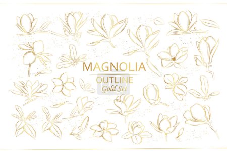 Photo for Magnolia flowers set. Vector flowers. Line art style. Golden branches of magnolias. - Royalty Free Image