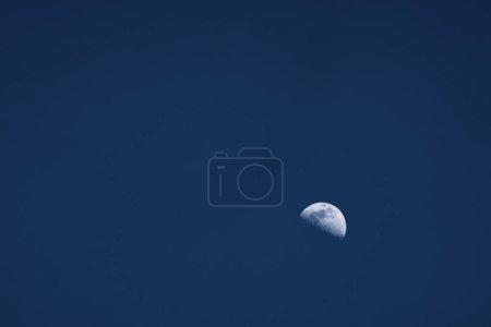 Half moon at blue hour without couds copyspace blue sky