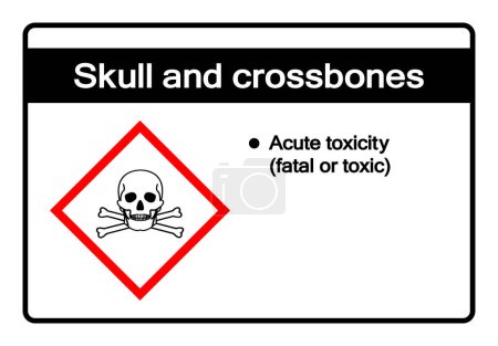 Illustration for Skull and Crossbones Symbol Sign ,Vector Illustration, Isolate On White Background Label.EPS10 - Royalty Free Image