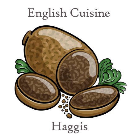Téléchargez les illustrations : Gros plan sur les haggis fraîchement cuits, cuisine traditionnelle écossaise - en licence libre de droit