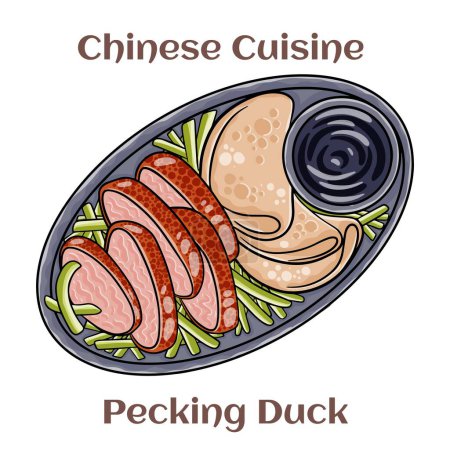Illustration for Peking Duck. The duck is eaten with spring onion, cucumber and sweet bean sauce with pancakes rolled around the fillings. Chinese food. Vector image isolated. - Royalty Free Image