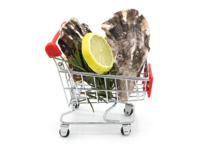 Frische Austern mit Zitronenscheiben und Rosmarinzweig im Supermarkt-Einkaufswagen mit rotem Griff auf weißem Hintergrund. Beschaffung von Meeresfrüchten.