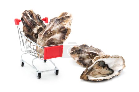 Frische Austern im Supermarkt-Einkaufswagen mit rotem Griff auf weißem Hintergrund. Beschaffung von Meeresfrüchten. Geöffnete und geschlossene Austernschalen.