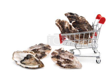Frische Austern im Einkaufswagen eines Supermarktes isoliert auf weißem Hintergrund. Beschaffung von Meeresfrüchten.