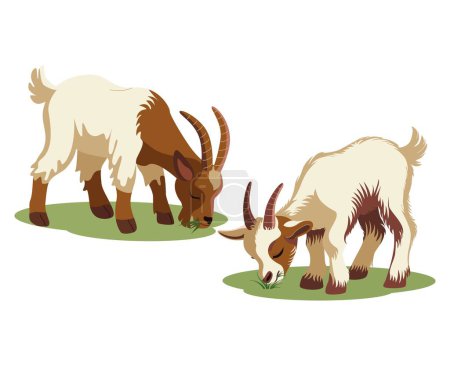 Dos cabras en el prado comiendo hierba. Ganado. Cultivo agrícola. Vector. Utilizado para collages, impresiones, pegatinas, diseño web