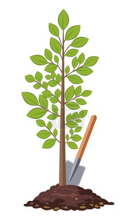 Tree. A young garden plant. A shovel is sticking out of the ground. Illustration used for collage and web design. Theme garden and vegetable garden, agronomy, ecology, hobby, agriculture. Vector.
