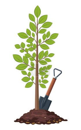 Tree. A young garden plant. There is a shovel sticking out of the ground. Illustration used for collage and web design. Theme garden and vegetable garden, agronomy, ecology, hobby, agriculture. 