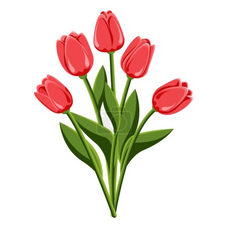 Tulip. Bouquet of five tulips. Perennial flower. Spring Summer. The stems are broad-leaved. Close-up. White background. Used for collages and stickers in web design, for cards and greetings.