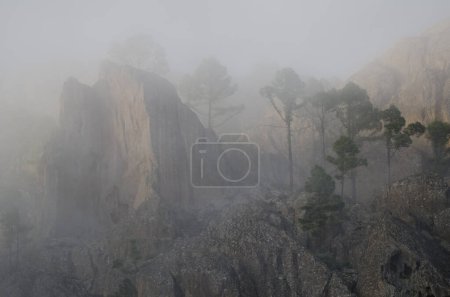Téléchargez les photos : Une falaise dans le brouillard. Morro de Pajonales. Réserve naturelle intégrale d'Inagua. Tejeda. Gran Canaria. Îles Canaries. Espagne. - en image libre de droit