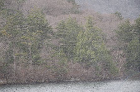 Téléchargez les photos : Blizzard au-dessus du lac Yunoto. Parc national Nikko. Japon. - en image libre de droit