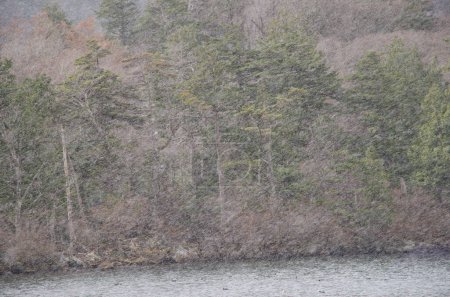 Foto de Ventisca sobre el lago Yunoto. Parque Nacional Nikko. Japón. - Imagen libre de derechos