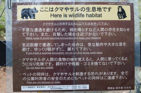 Téléchargez les photos : Parc national Nikko, 18 novembre 2017 : Signal annonçant la présence d'animaux sauvages. Parc national Nikko. Préfecture de Tochigi. Japon. - en image libre de droit