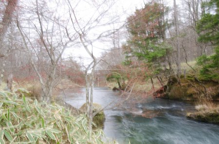 Téléchargez les photos : Rivière Yugama dans le parc national Nikko. Préfecture de Tochigi. Japon. - en image libre de droit