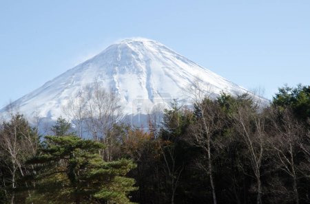 Foto de Monte Fuji y bosque. Parque Nacional Fuji-Hakone-Izu. Honshu. Japón. - Imagen libre de derechos