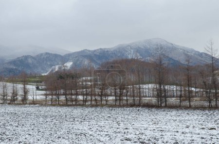 Photo for View of a snowy landscape in Kiyosato. Hokkaido. Japan. - Royalty Free Image