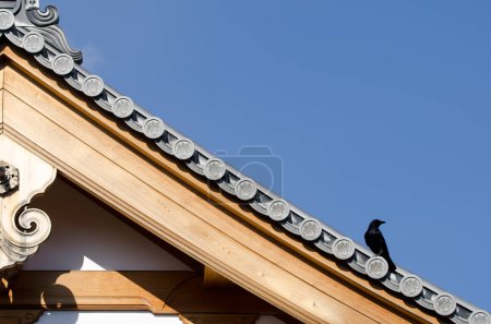 Photo for Carrion crow Corvus corone on the roof of a buddhist temple. Kyoto. Japan. - Royalty Free Image