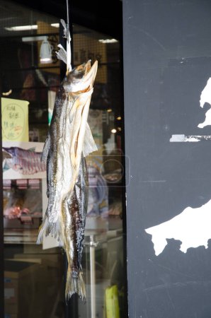 Téléchargez les photos : Dried masu salmon Oncorhynchus masou hanging at the entrance of a store. Tsukiji Market. Tsukiji. Tokyo. Japan. - en image libre de droit