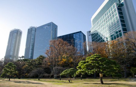 Photo for Tokyo, December 14, 2017: Hamarikyu Gardens and skyscrapers in the city of Tokyo. Honshu. Japan. - Royalty Free Image