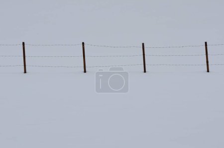 Téléchargez les photos : Clôture dans la neige. Ranch Tsurui Dosanko. Kushiro. Hokkaido. Japon. - en image libre de droit