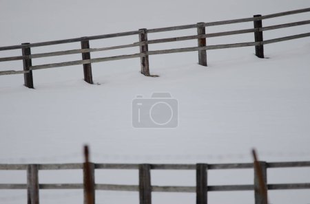 Téléchargez les photos : Clôture en bois dans la neige. Ranch Tsurui Dosanko. Kushiro. Hokkaido. Japon. - en image libre de droit