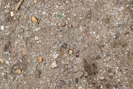 Téléchargez les photos : Vue de dessus d'un sentier avec coquillages, pierres et sable - en image libre de droit