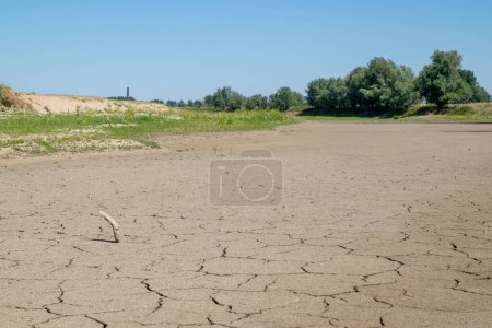 Téléchargez les photos : L'Ooyse Schependom est sec pendant l'été en raison du réchauffement climatique, du changement climatique aux Pays-Bas - en image libre de droit