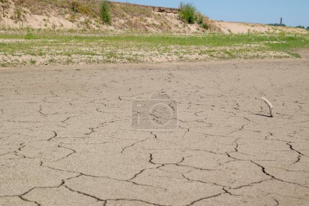 Téléchargez les photos : L'Ooyse Schependom est sec pendant l'été en raison du réchauffement climatique, du changement climatique aux Pays-Bas - en image libre de droit