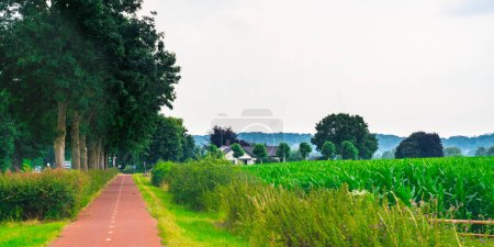 Téléchargez les photos : Image de fond de piste cyclable vide à l'Ooijpolder en Gueldre aux Pays-Bas pendant l'été - en image libre de droit