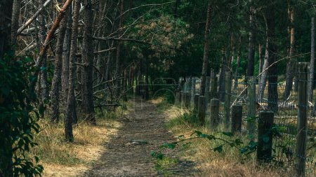 Photo for A mysterious and empty pathway veiled in darkness runs alongside a barbed wire fence - Royalty Free Image