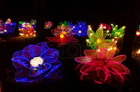 Téléchargez les photos : Insolite festival lanterne chinoise culture chinoise formes fantaisistes fleurs orientation paysage. - en image libre de droit