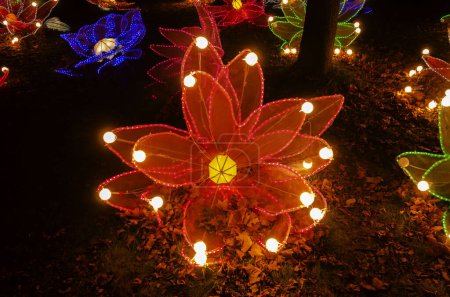 Téléchargez les photos : Insolite festival lanterne chinoise culture chinoise formes fantaisistes fleurs orientation paysage. - en image libre de droit
