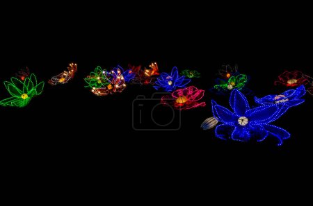 Téléchargez les photos : Insolite festival lanterne culture chinoise formes fantaisistes fleurs paysage fond noir. - en image libre de droit